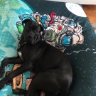 fotoliupuffullprintpersonalizat ePtW