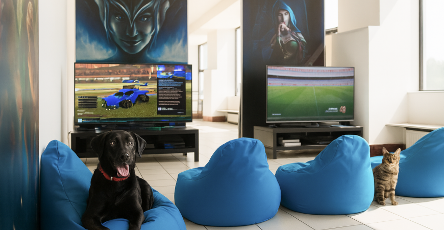 Fotoliile puf sunt rezistente la pete, zgarieturi sau animale de companie?